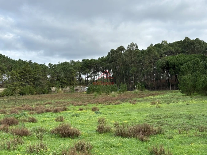 Moradia T4 para Arrendamento em Ericeira Foto 32