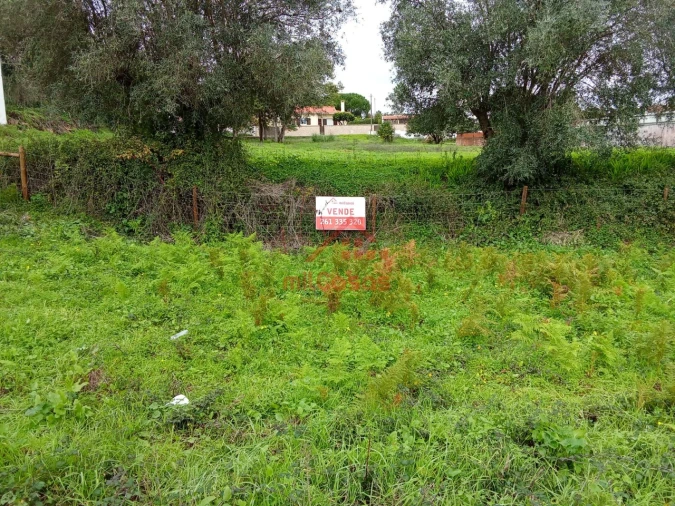 Terreno para Venda em Santa Maria, São Pedro e Matacães Foto 3