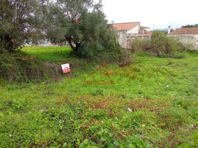 Terreno para Venda em Santa Maria, São Pedro e Matacães Foto 4