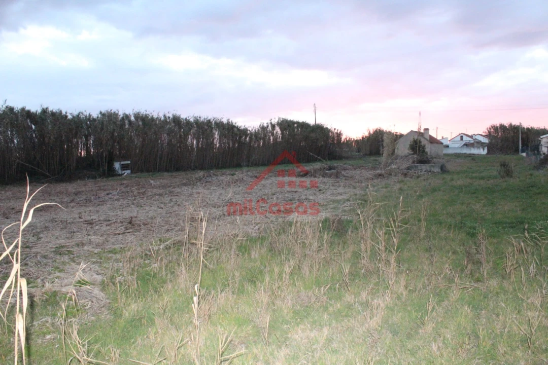 Moradia T2 para Venda em Silveira Foto 14