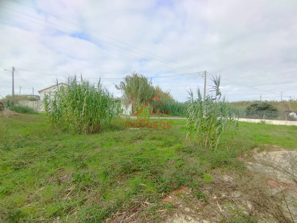 Moradia T2 para Venda em Silveira Foto 26