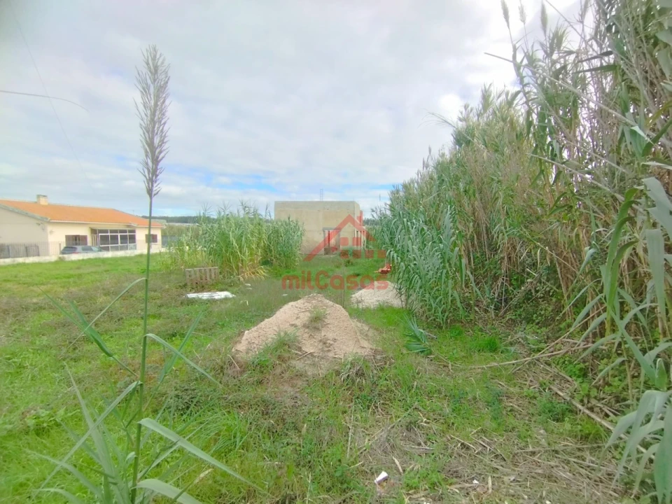 Moradia T2 para Venda em Silveira Foto 4