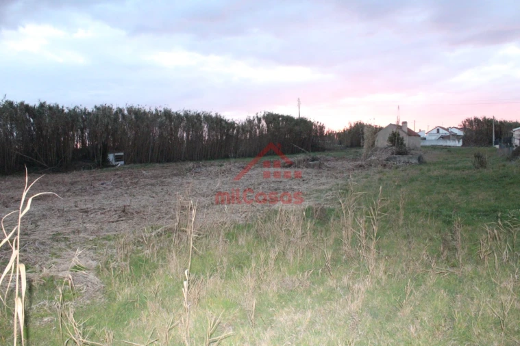 Moradia T2 para Venda em Silveira Foto 14