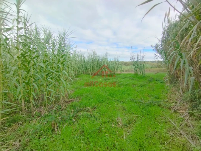 Moradia T2 para Venda em Silveira Foto 15