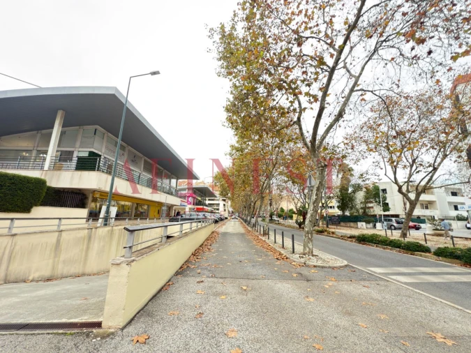 Negócio para Arrendamento em Cascais e Estoril