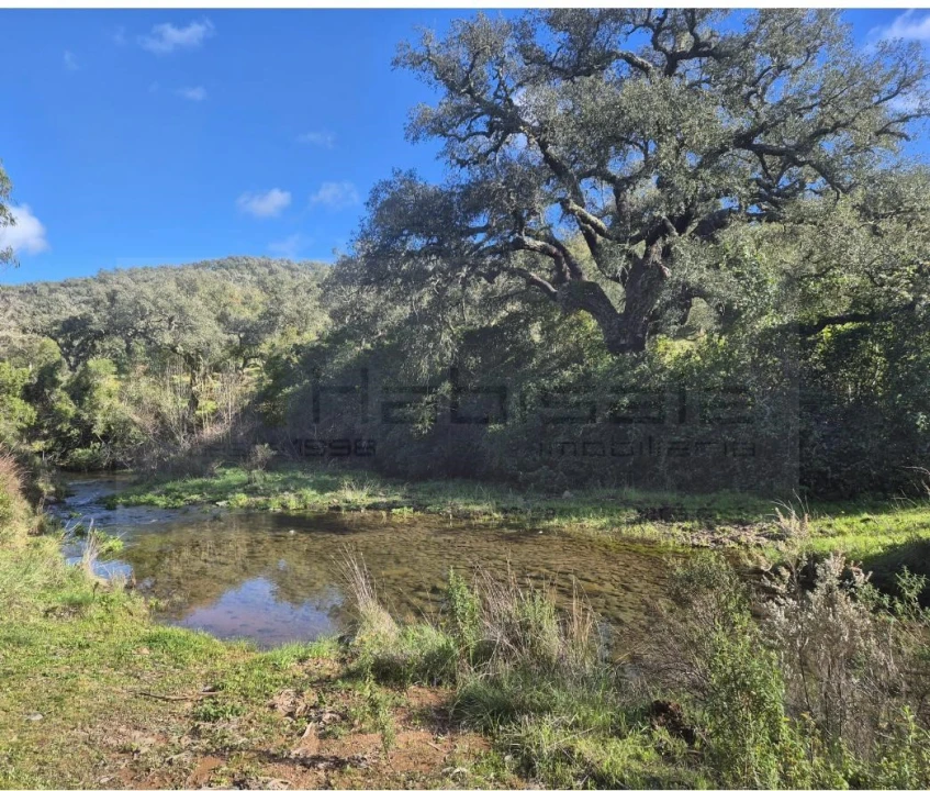 Terreno Agricola ou Rústico para Venda em Grândola e Santa Margarida da Serra Foto 1