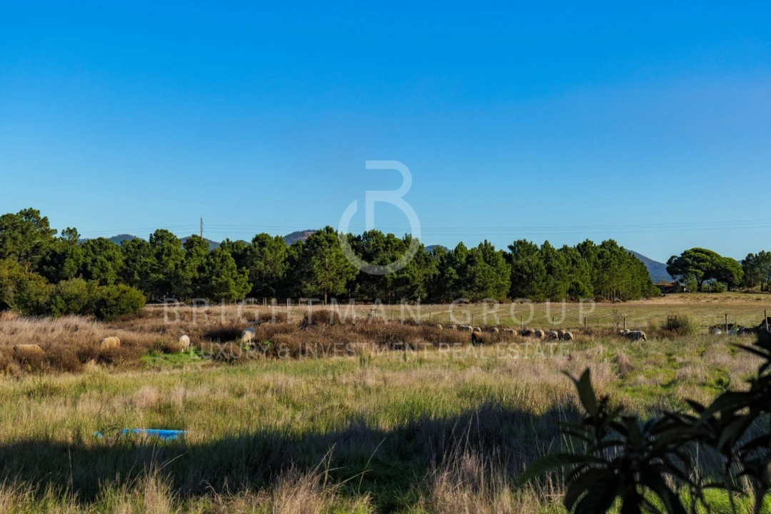 Moradia T2 para Venda em São Salvador e Santa Maria Foto 5