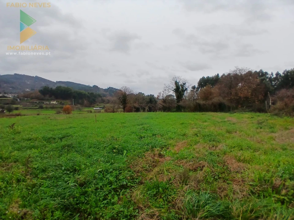 Quinta T3 para Venda em Beiral do Lima Foto 17
