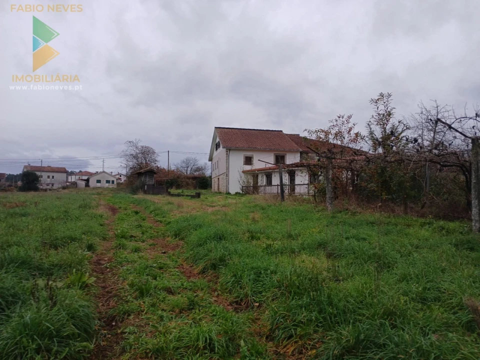 Quinta T3 para Venda em Beiral do Lima Foto 16