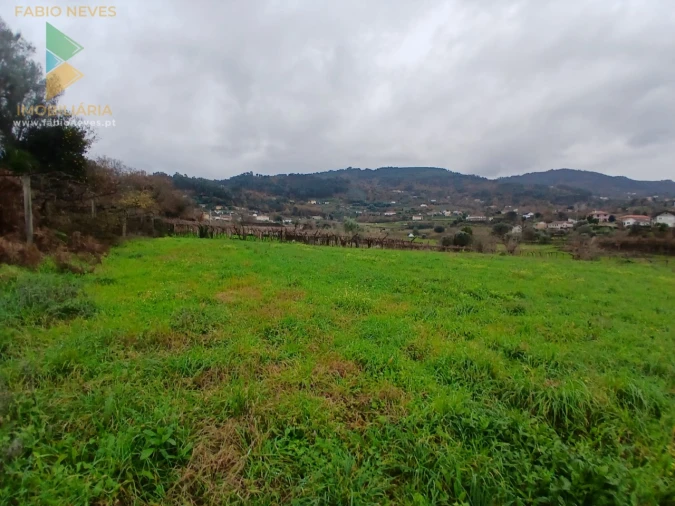 Quinta T3 para Venda em Beiral do Lima Foto 18