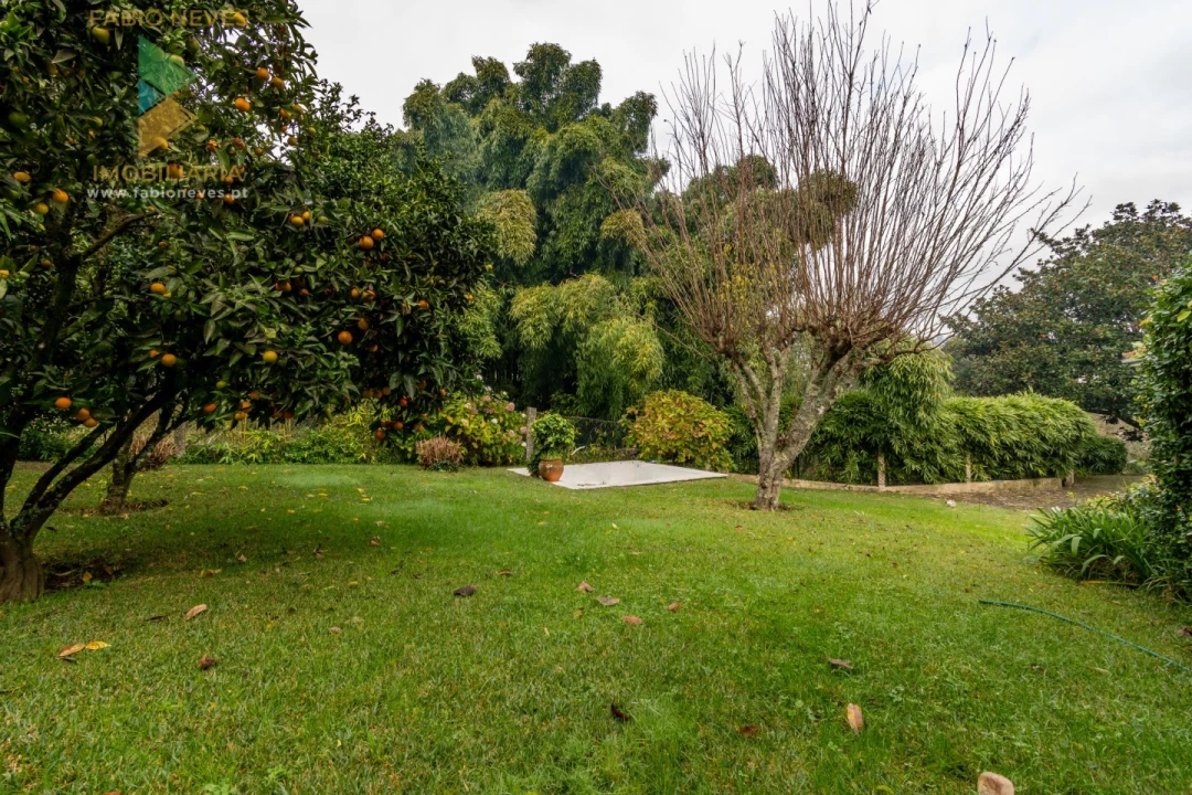 Moradia T3 para Venda em Guilhadeses e Santar Foto 47