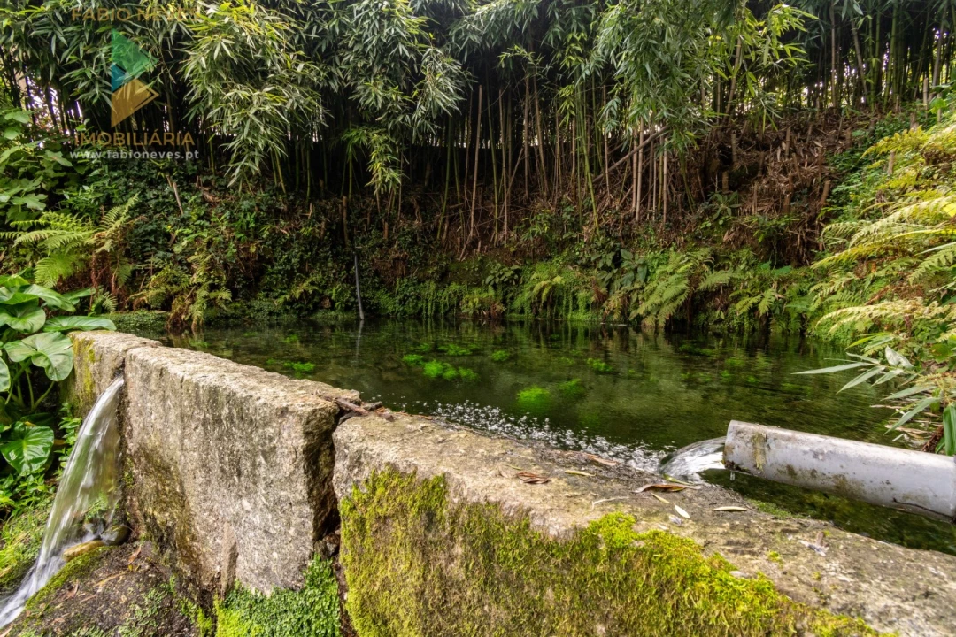 Moradia T3 para Venda em Guilhadeses e Santar Foto 56