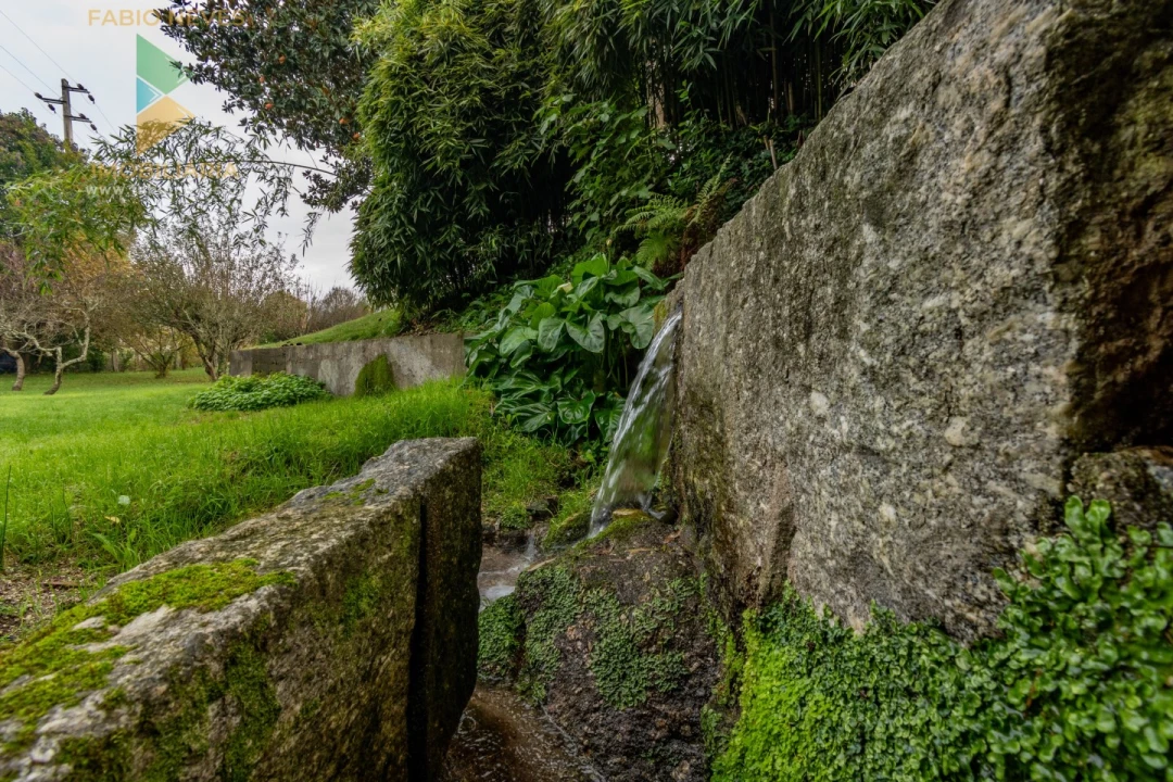 Moradia T3 para Venda em Guilhadeses e Santar Foto 58