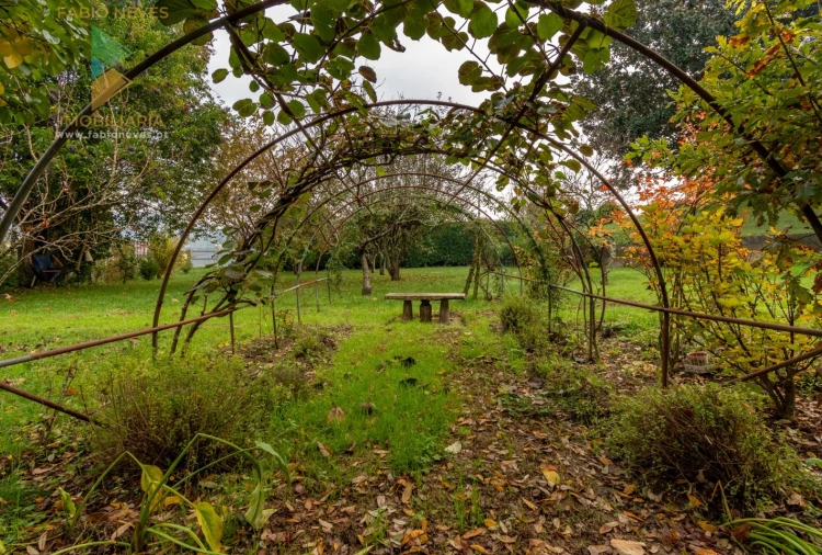 Moradia T3 para Venda em Guilhadeses e Santar Foto 61