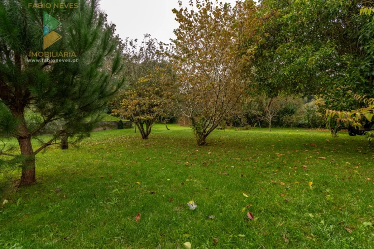 Moradia T3 para Venda em Guilhadeses e Santar Foto 63