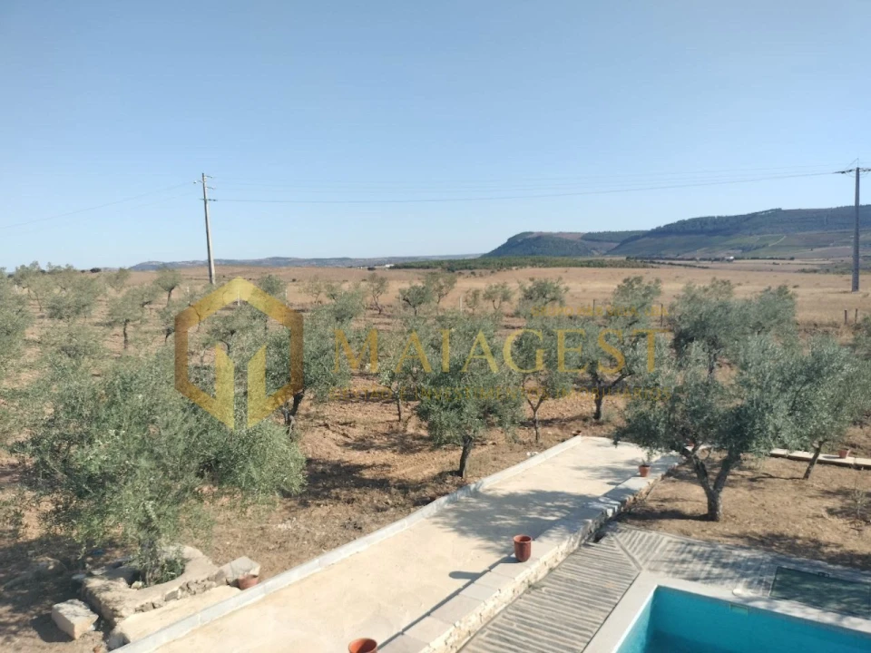 Quinta T3 para Venda em Freixo de Espada a Cinta e Mazouco Foto 5