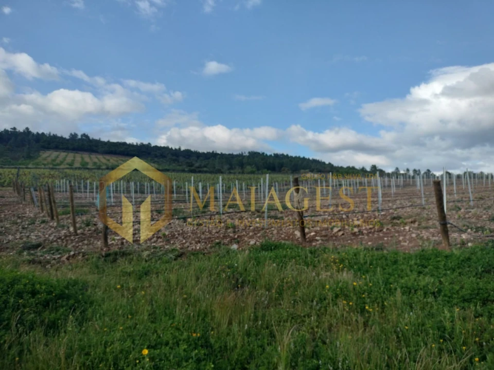 Quinta T3 para Venda em Freixo de Espada a Cinta e Mazouco Foto 6