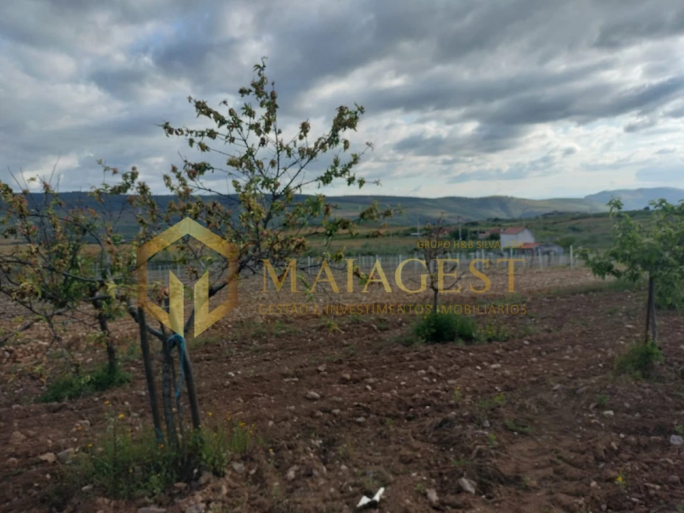 Quinta T3 para Venda em Freixo de Espada a Cinta e Mazouco Foto 23