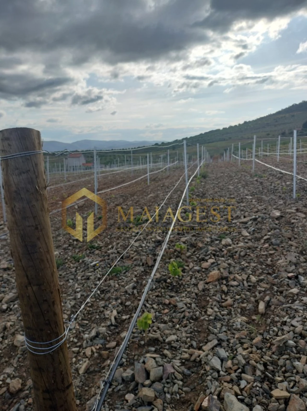 Quinta T3 para Venda em Freixo de Espada a Cinta e Mazouco Foto 26