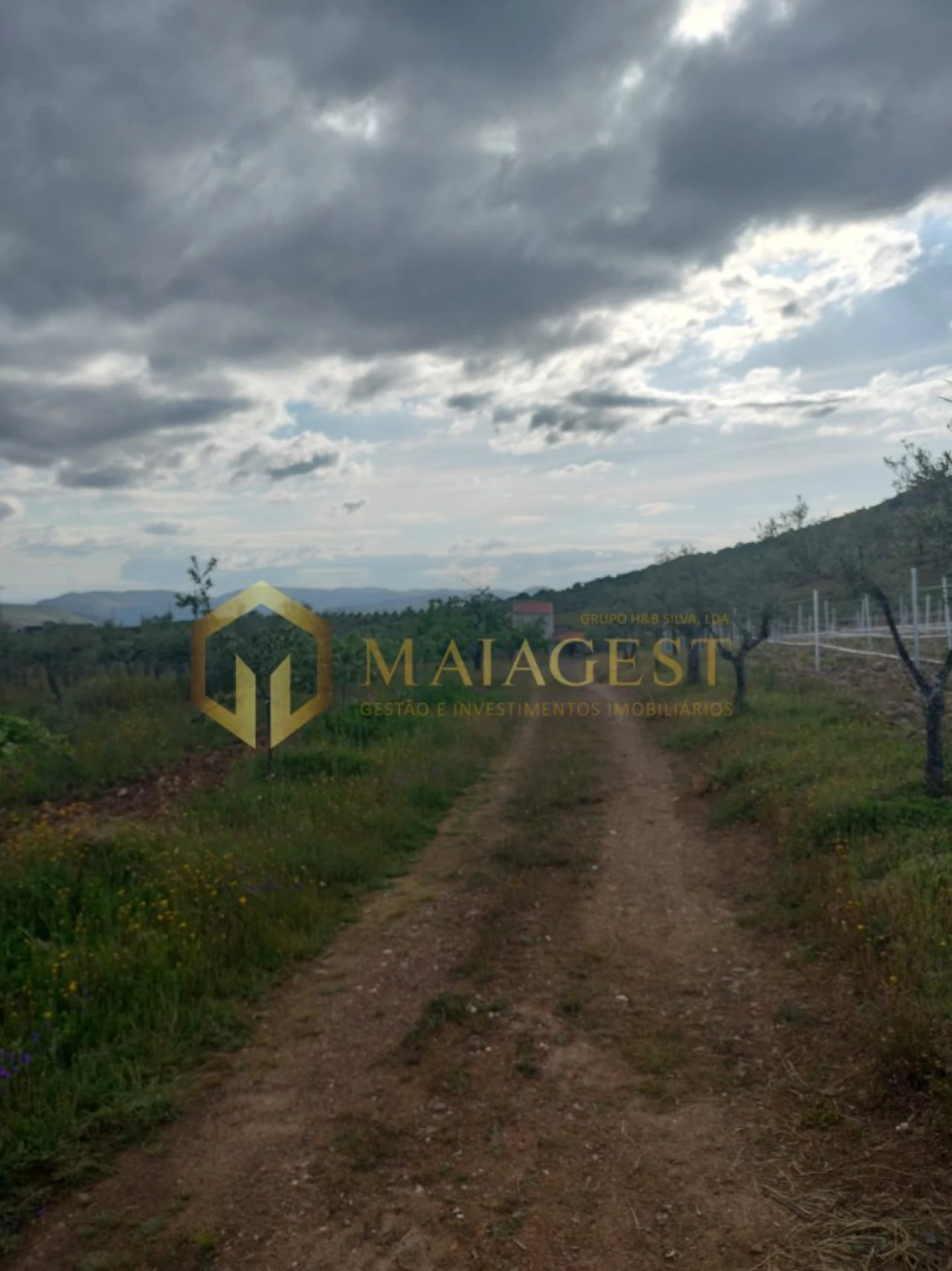 Quinta T3 para Venda em Freixo de Espada a Cinta e Mazouco Foto 27