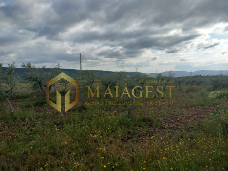 Quinta T3 para Venda em Freixo de Espada a Cinta e Mazouco Foto 28