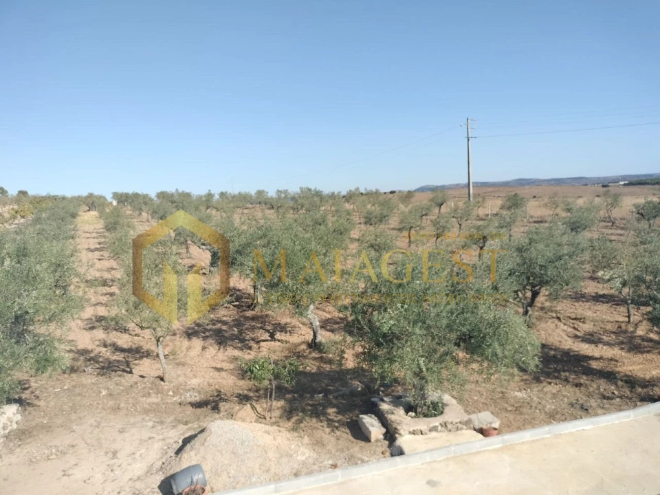 Quinta T3 para Venda em Freixo de Espada a Cinta e Mazouco Foto 33