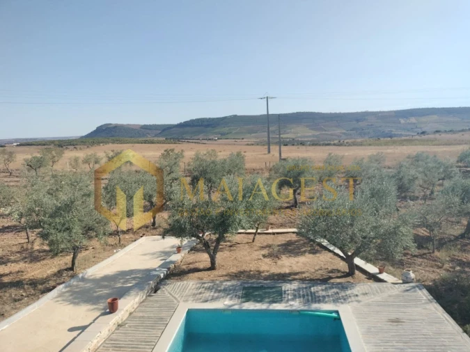 Quinta T3 para Venda em Freixo de Espada a Cinta e Mazouco Foto 4