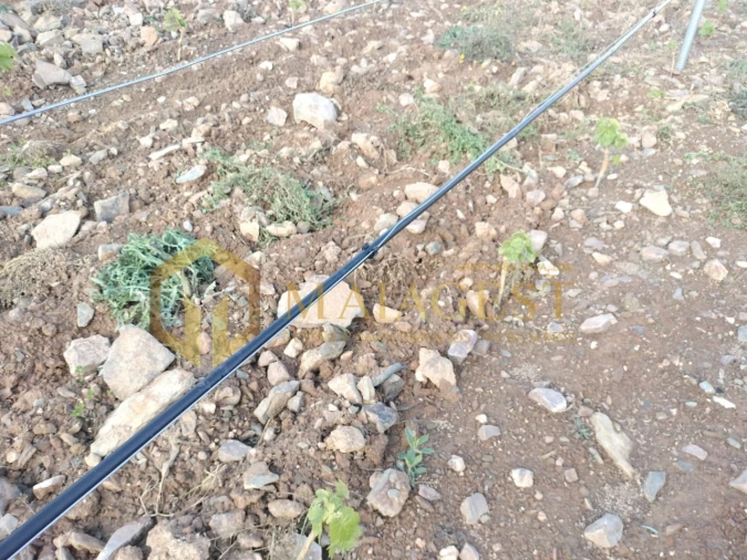 Quinta T3 para Venda em Freixo de Espada a Cinta e Mazouco Foto 7