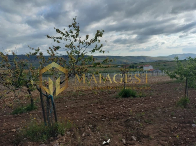 Quinta T3 para Venda em Freixo de Espada a Cinta e Mazouco Foto 23