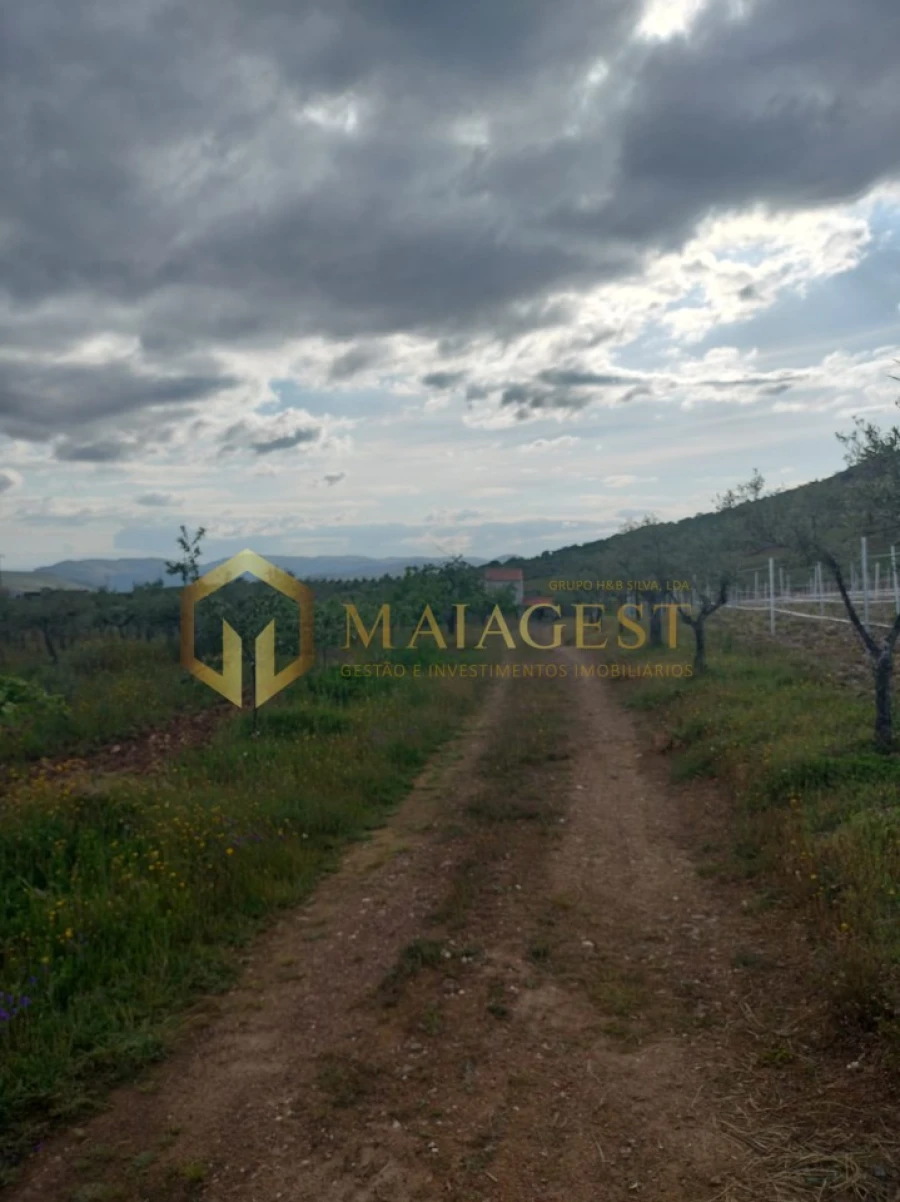 Quinta T3 para Venda em Freixo de Espada a Cinta e Mazouco Foto 27