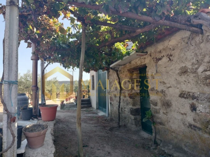 Quinta T3 para Venda em Freixo de Espada a Cinta e Mazouco Foto 32