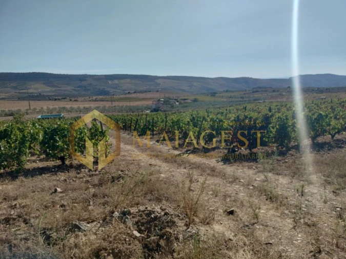 Quinta T3 para Venda em Freixo de Espada a Cinta e Mazouco Foto 35