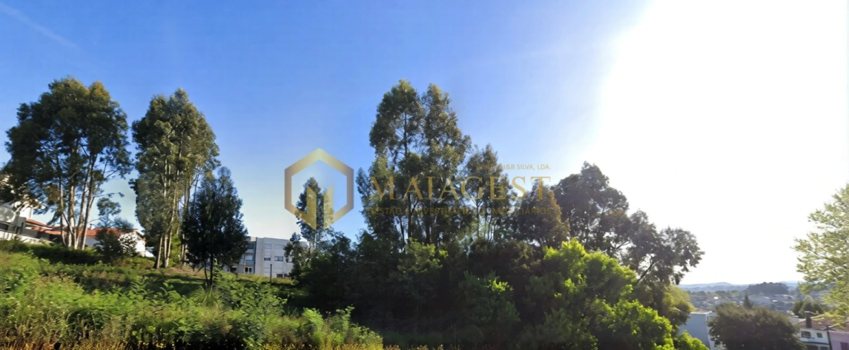 Terreno para Venda em Oliveira do Douro Foto 2