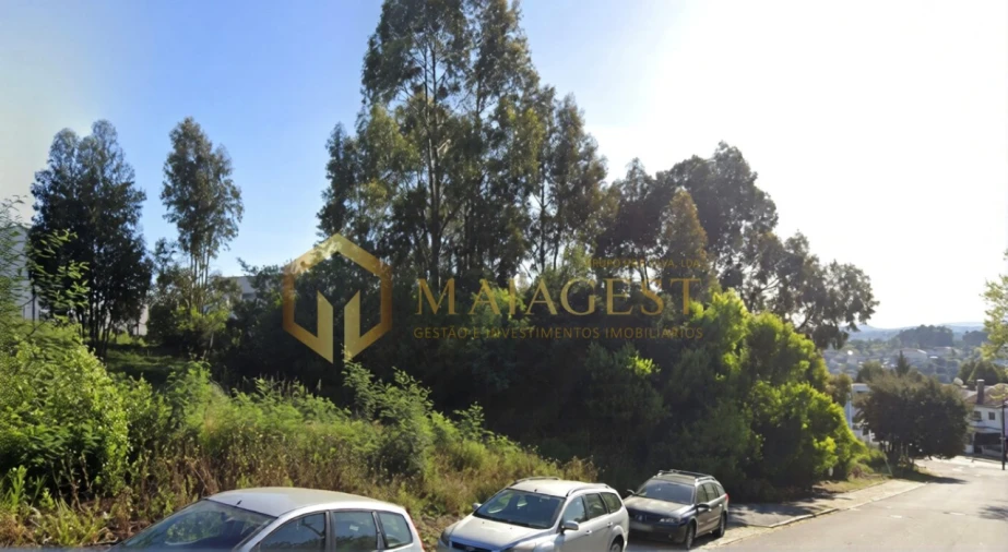 Terreno para Venda em Oliveira do Douro Foto 3