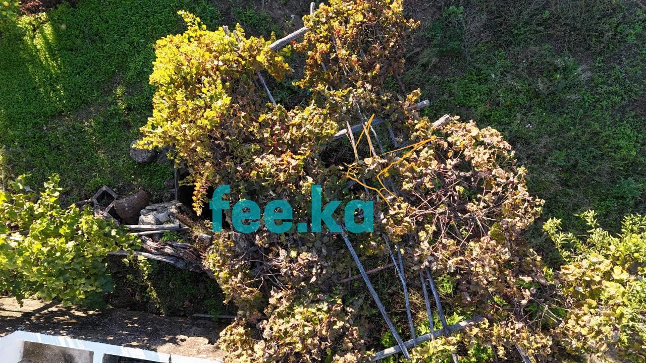 Terreno para Venda em Fratel Foto 10