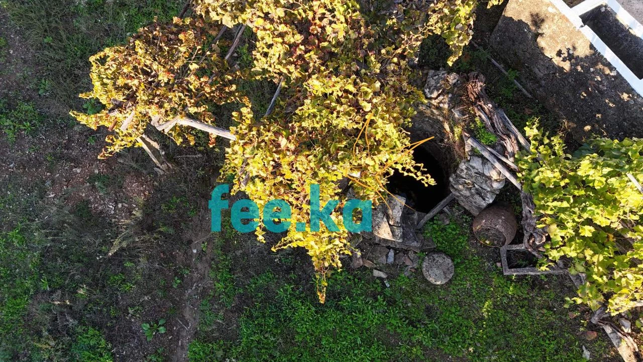 Terreno para Venda em Fratel Foto 18