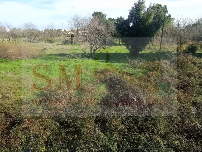 Apartamento T3 para Venda em Seixal, Arrentela e Aldeia de Paio Pires Foto 19