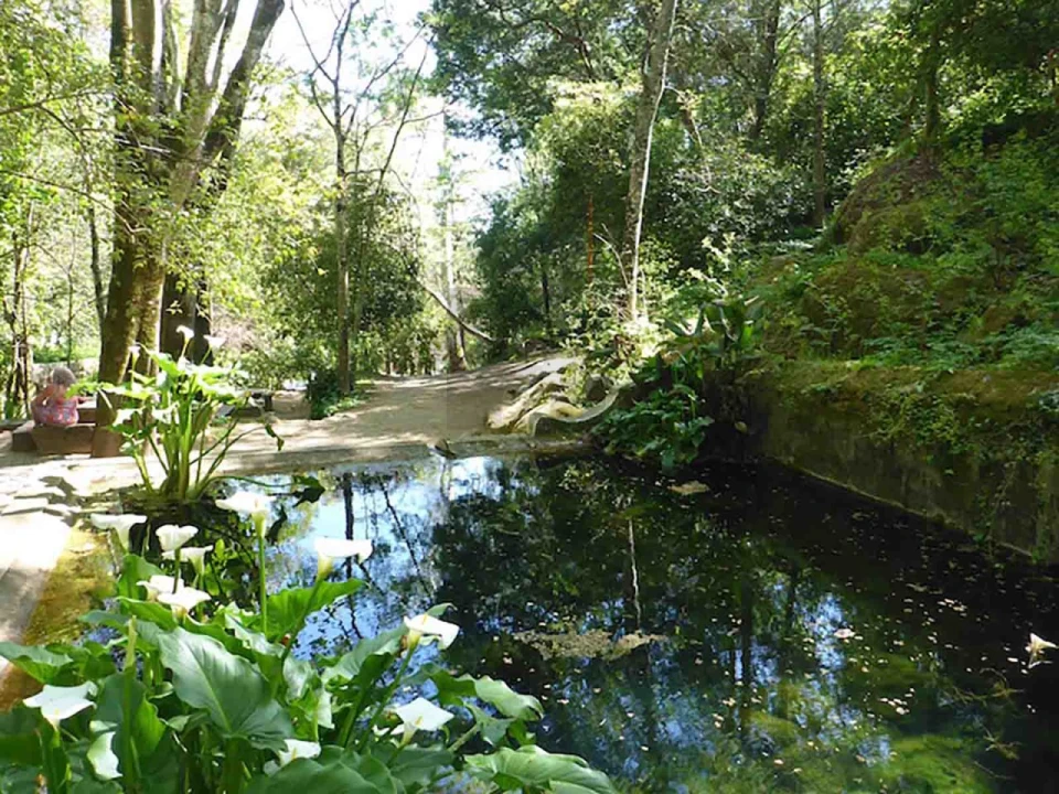 Moradia T4 para Venda em Monchique Foto 14