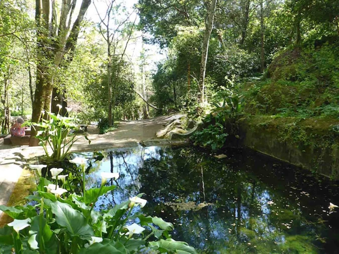 Moradia T4 para Venda em Monchique Foto 14