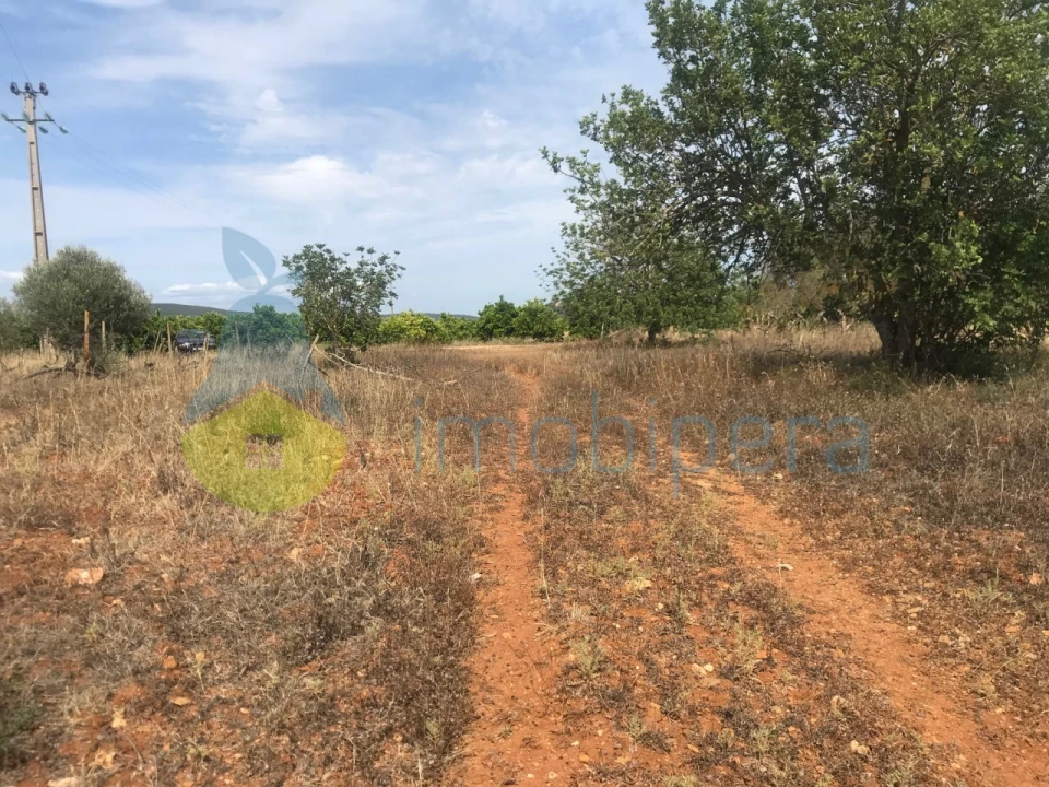Terreno Agricola ou Rústico para Venda em Paderne Foto 7