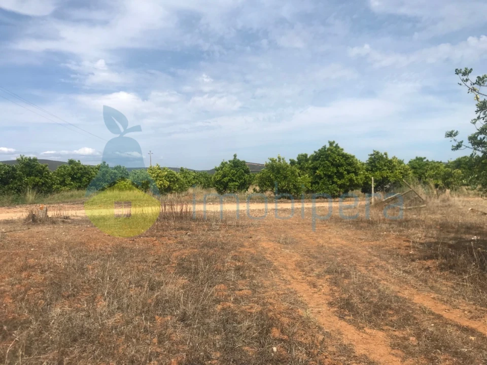 Terreno Agricola ou Rústico para Venda em Paderne Foto 8