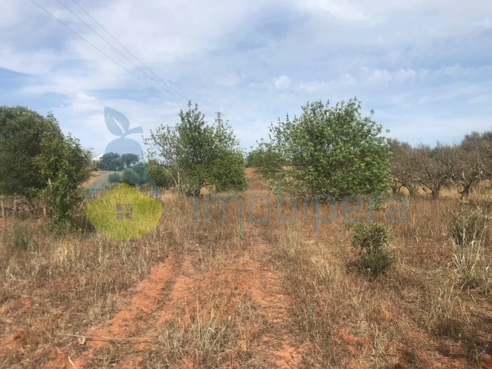 Terreno Agricola ou Rústico para Venda em Paderne Foto 9