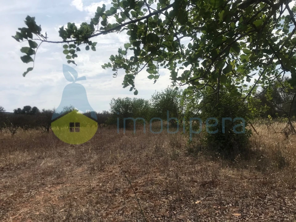 Terreno Agricola ou Rústico para Venda em Paderne Foto 10