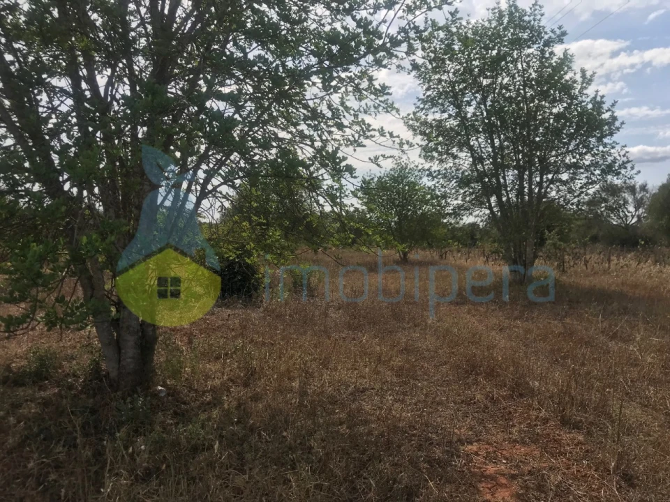Terreno Agricola ou Rústico para Venda em Paderne Foto 11