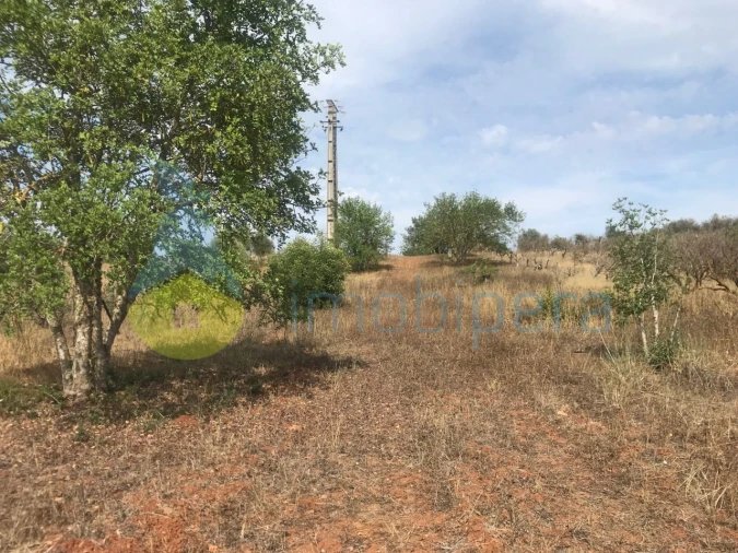 Terreno Agricola ou Rústico para Venda em Paderne Foto 5