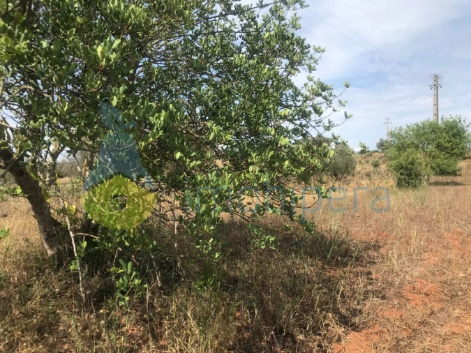 Terreno Agricola ou Rústico para Venda em Paderne Foto 6