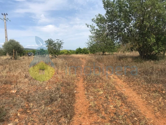 Terreno Agricola ou Rústico para Venda em Paderne Foto 7