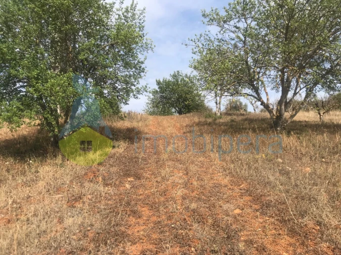 Terreno Agricola ou Rústico para Venda em Paderne Foto 3