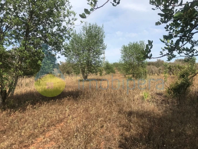 Terreno Agricola ou Rústico para Venda em Paderne Foto 2