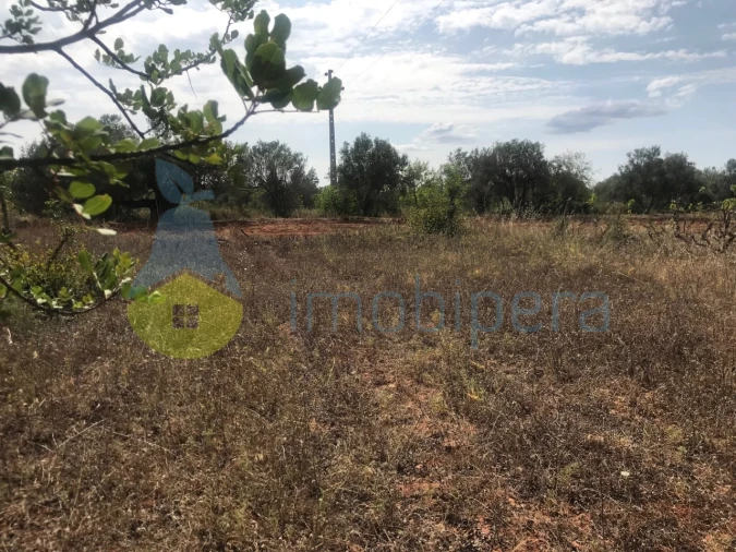 Terreno Agricola ou Rústico para Venda em Paderne Foto 1